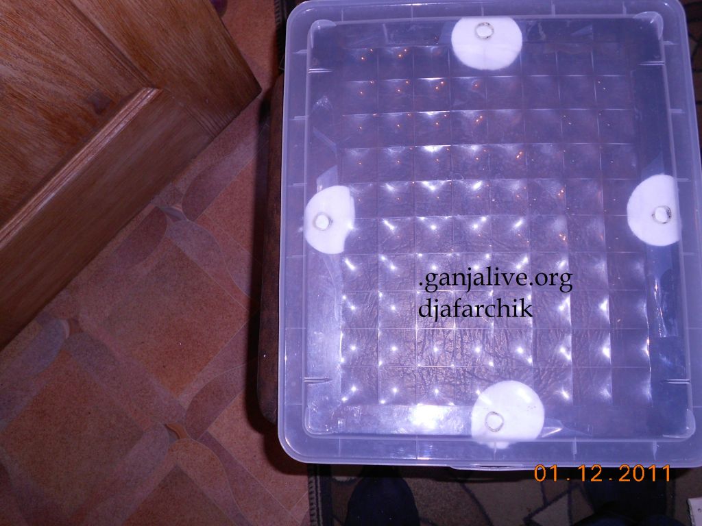 DSCN0367