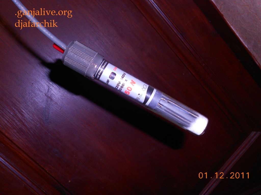 DSCN0369
