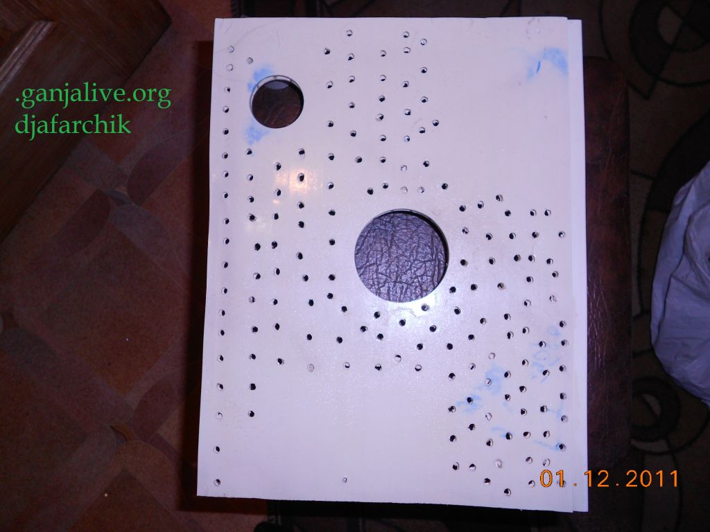 DSCN0370