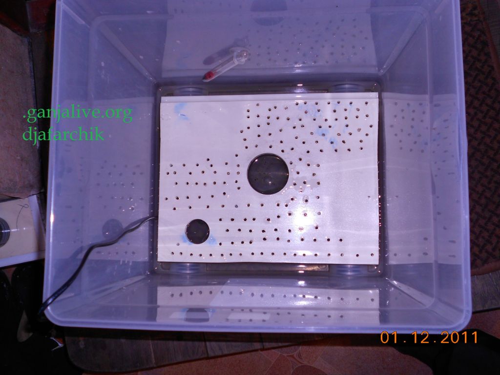 DSCN0372