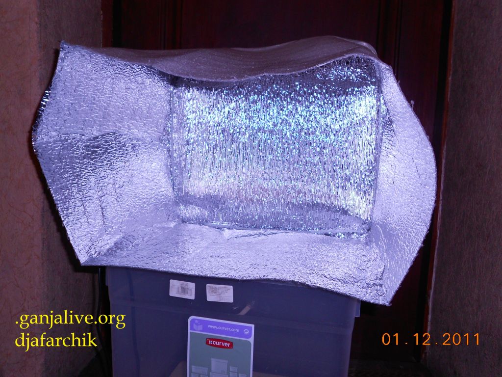 DSCN0375