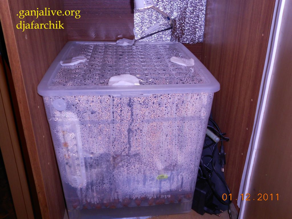 DSCN0377