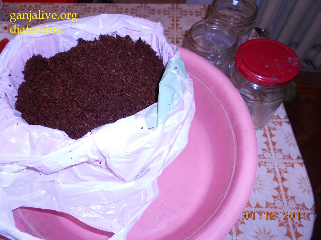 DSCN0379