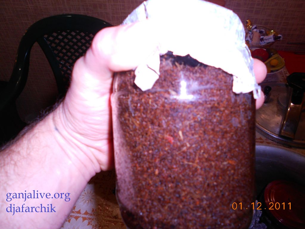 DSCN0380