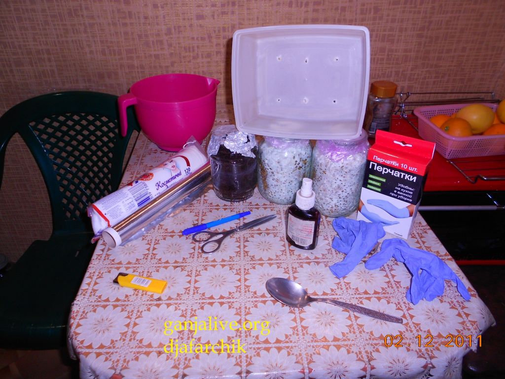 DSCN0385