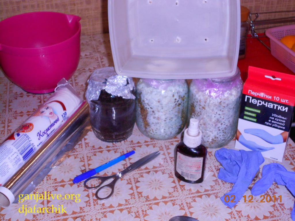 DSCN0386