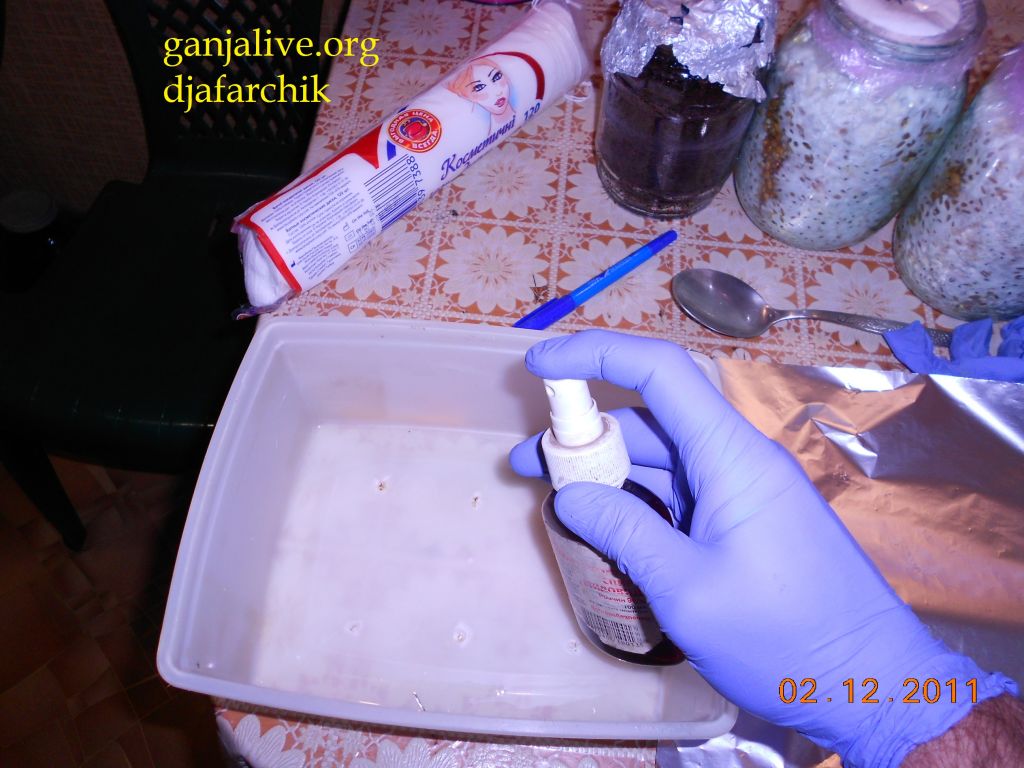 DSCN0387