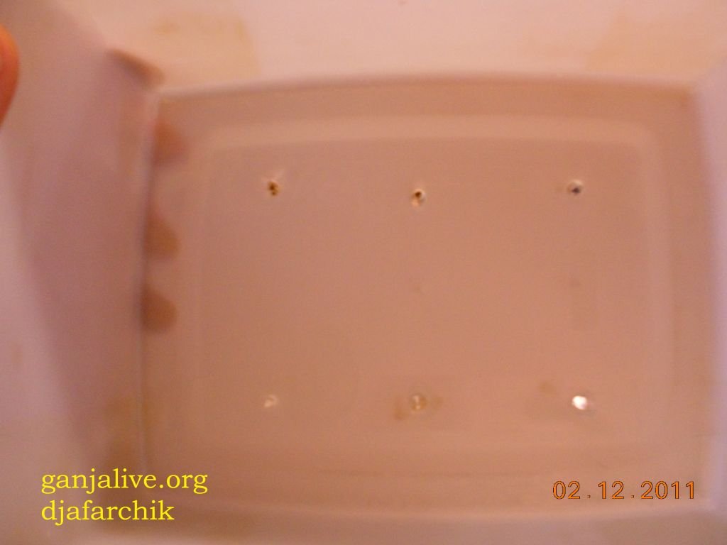 DSCN0396