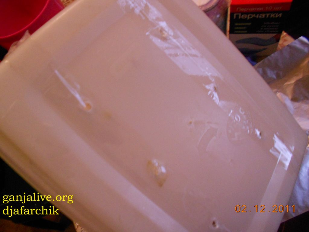 DSCN0397