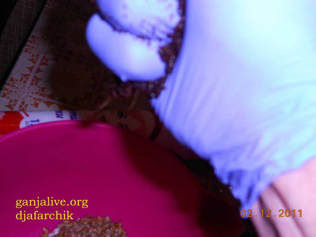 DSCN0404