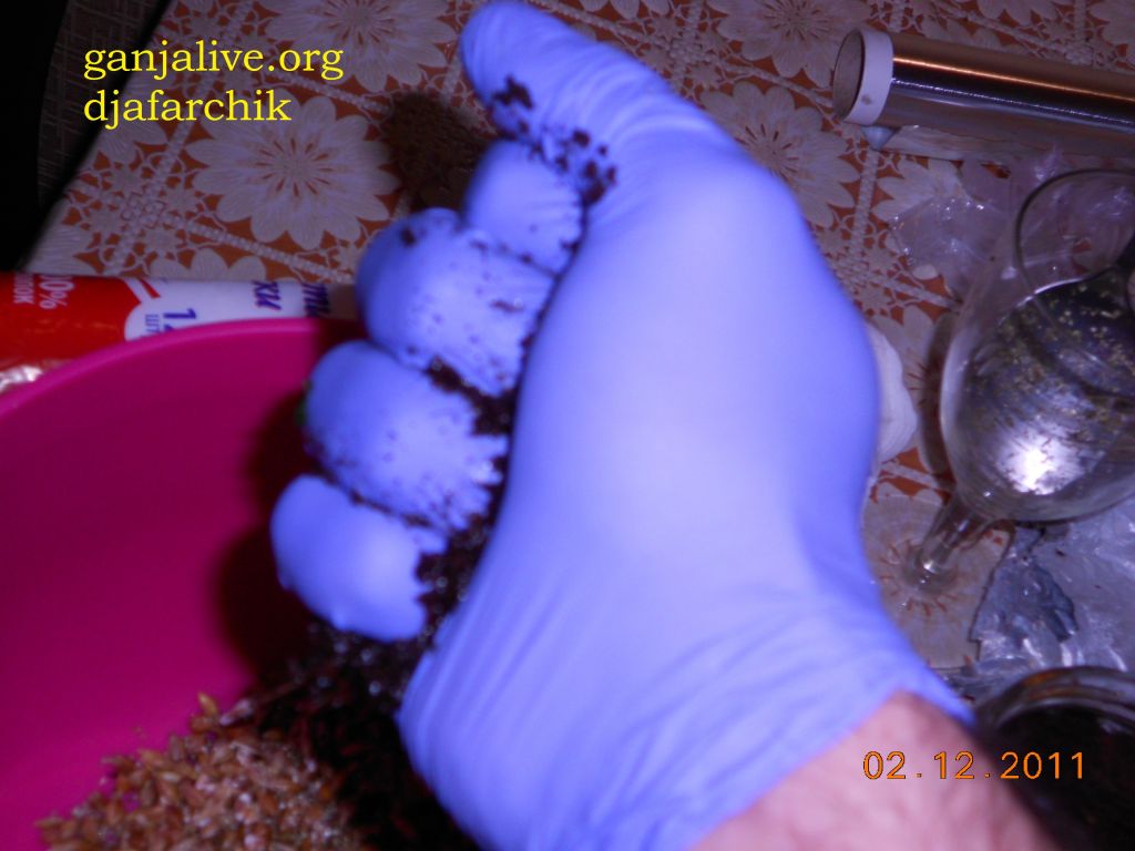 DSCN0405