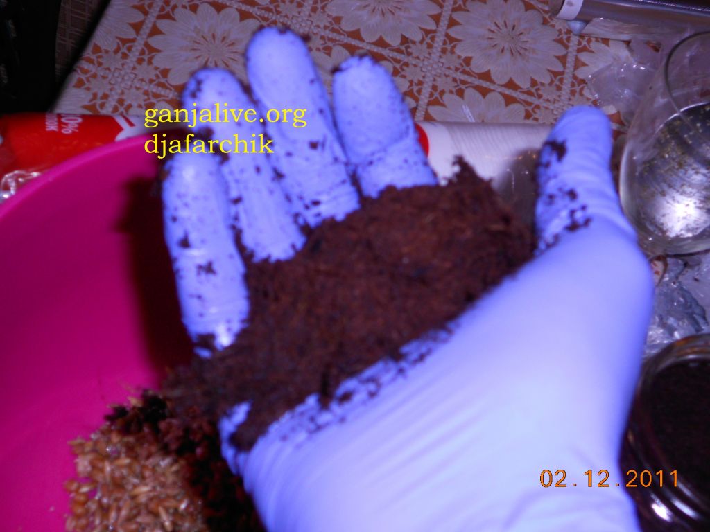DSCN0406