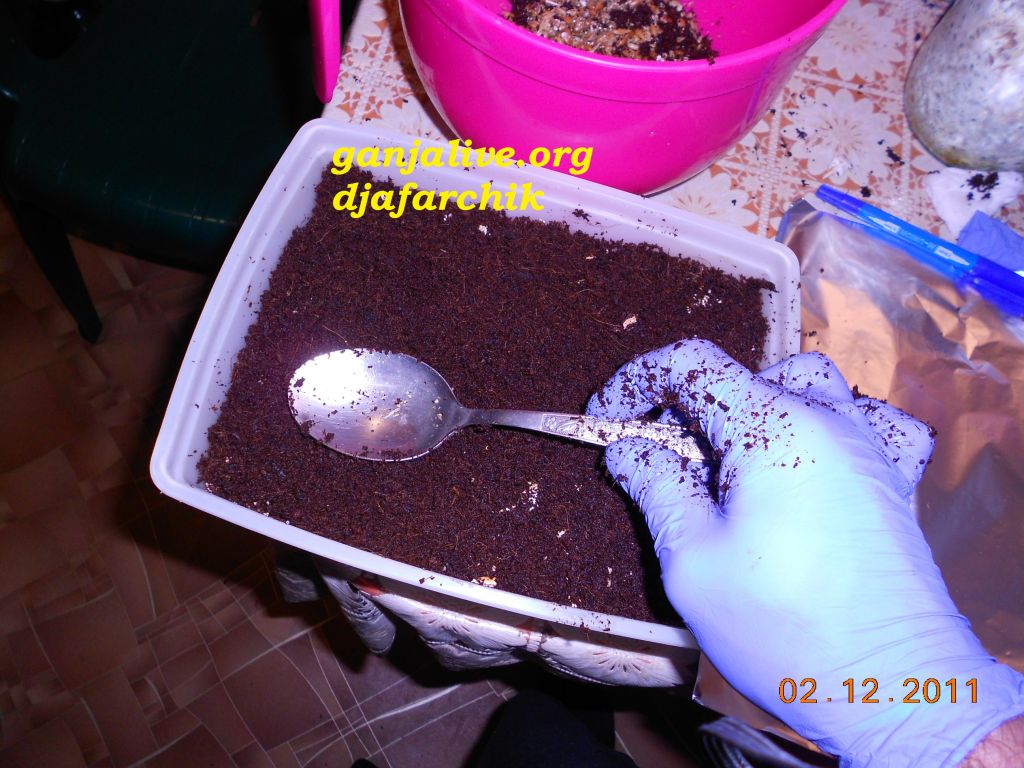 DSCN0408