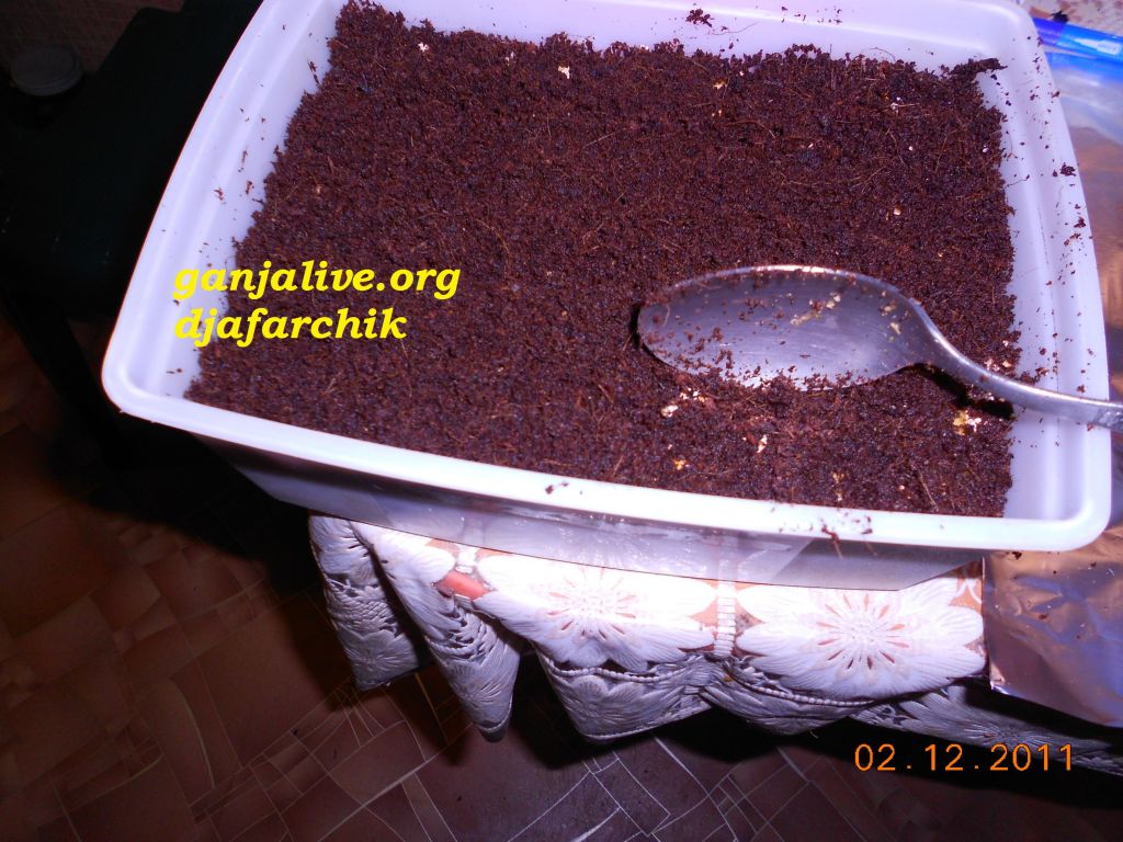 DSCN0409