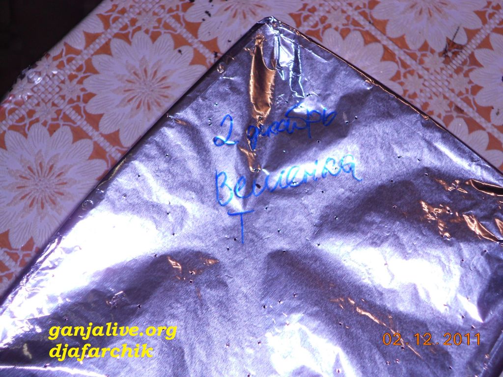 DSCN0413