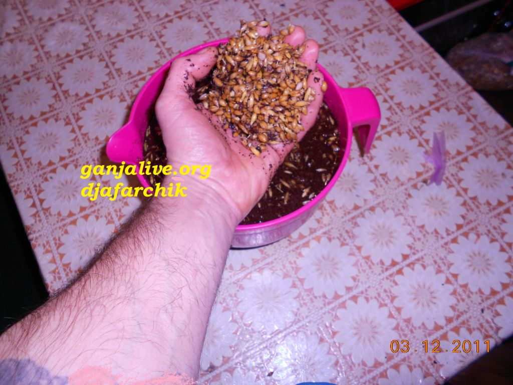 DSCN0417