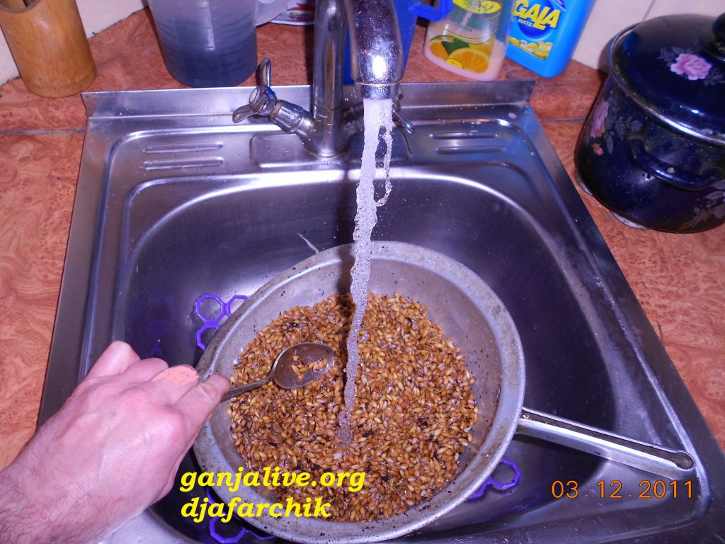 DSCN0419