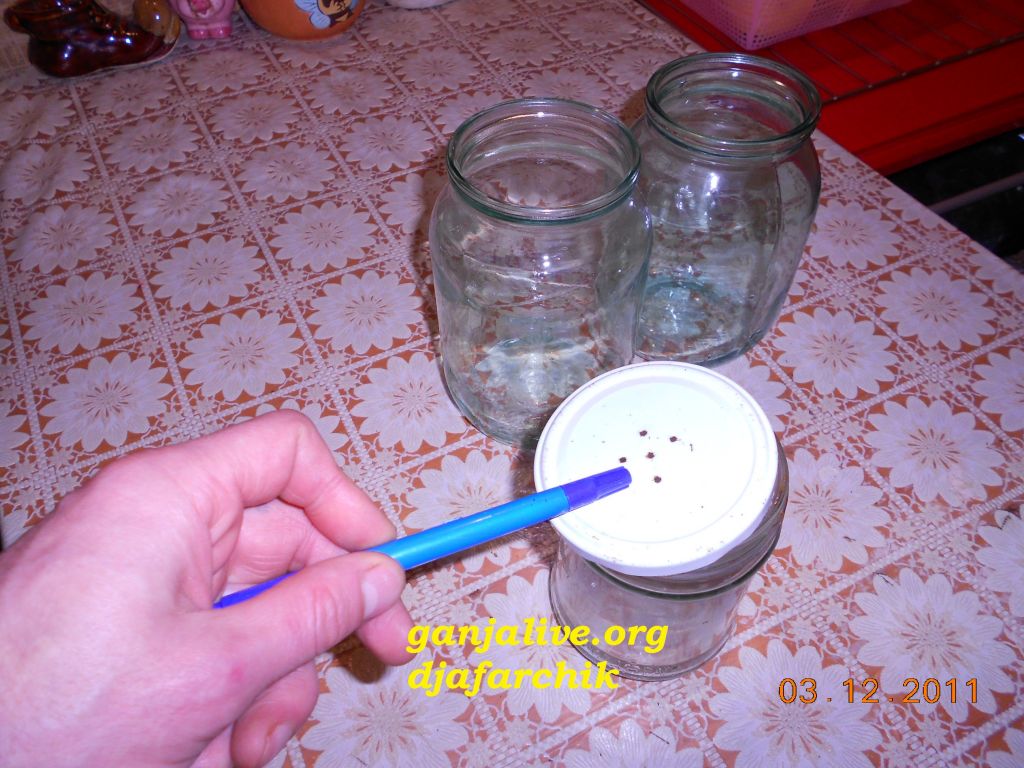 DSCN0420