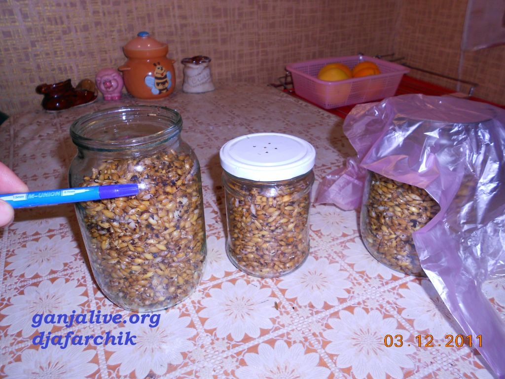 DSCN0422