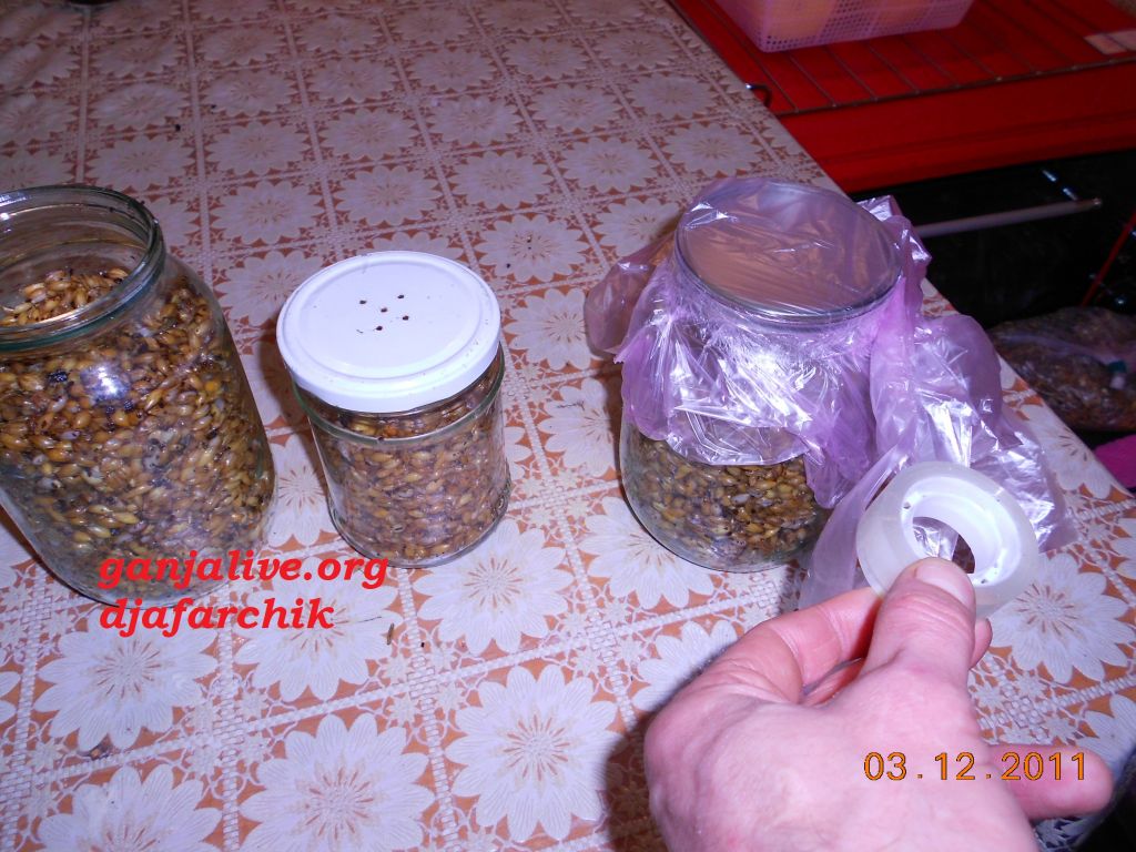 DSCN0423