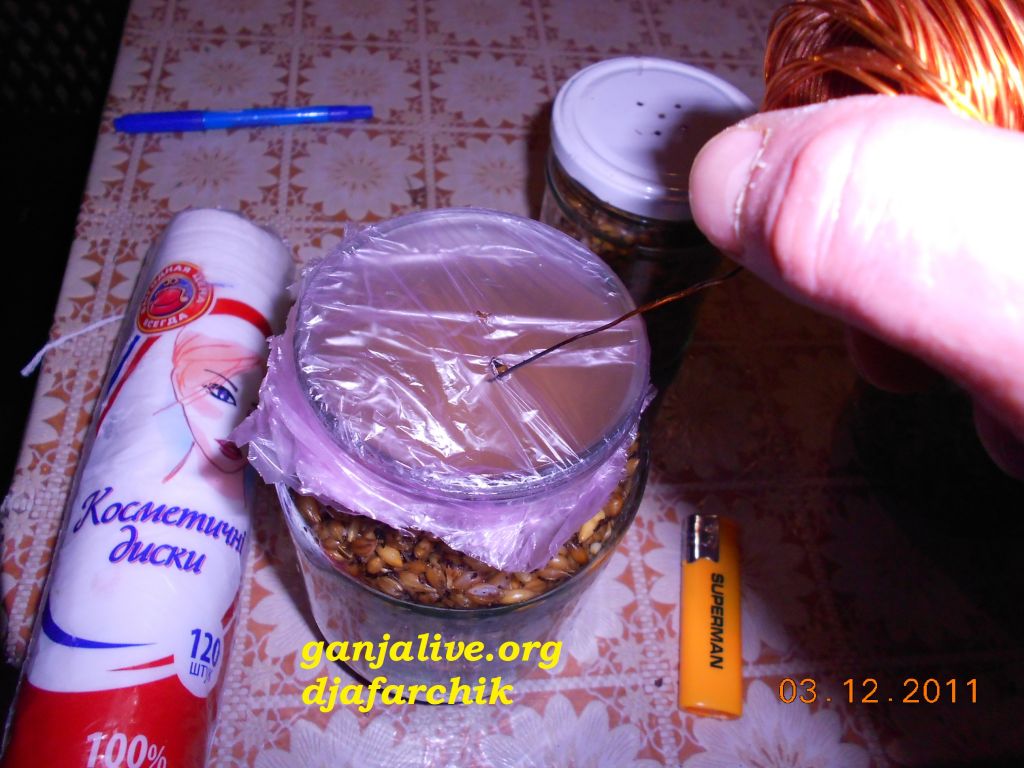 DSCN0424