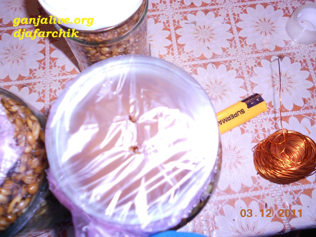 DSCN0425