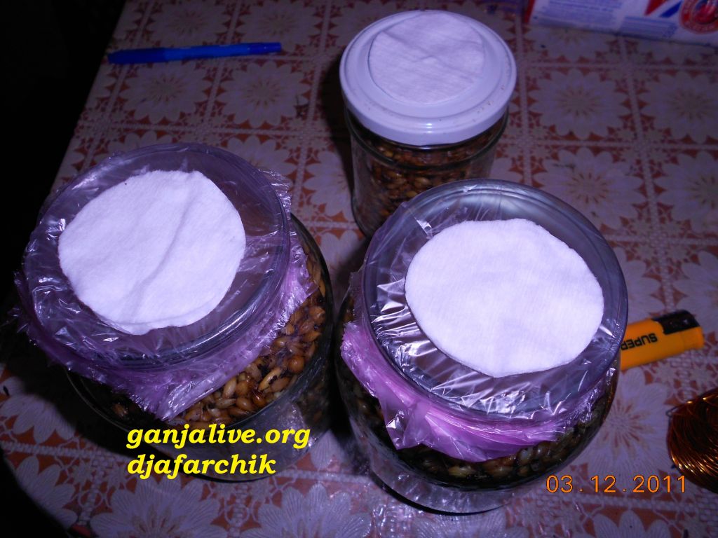 DSCN0427