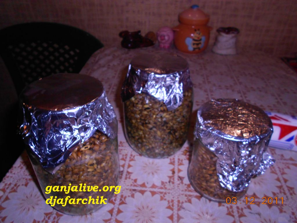 DSCN0428