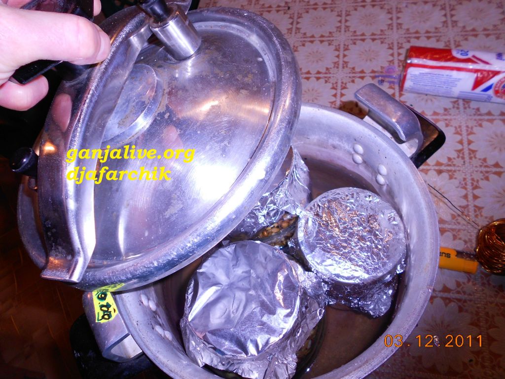 DSCN0429