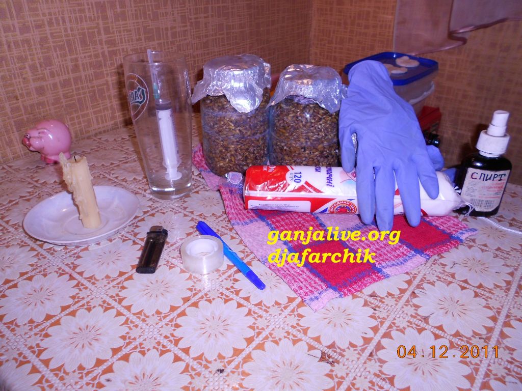 DSCN0431
