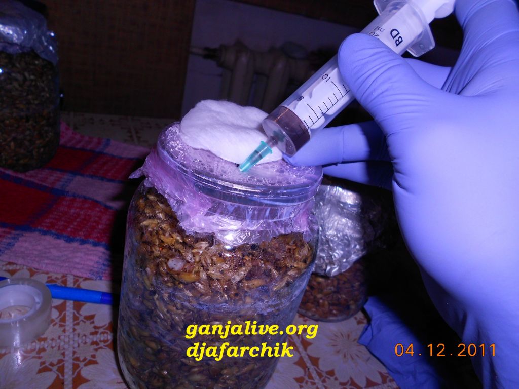 DSCN0433