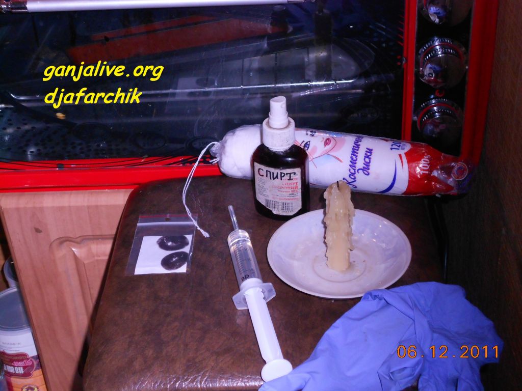 DSCN0447