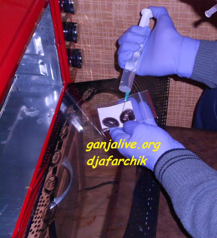 DSCN0454