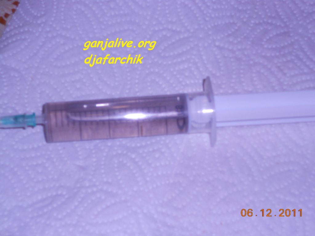 DSCN0458