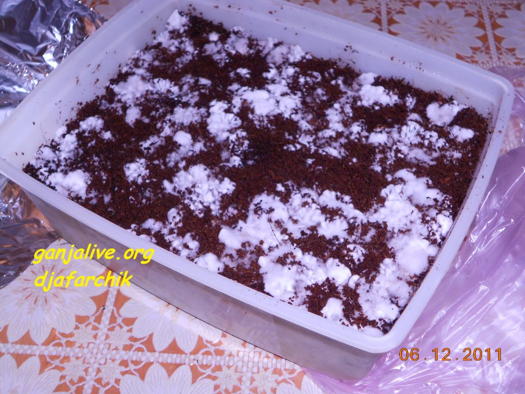 DSCN0459