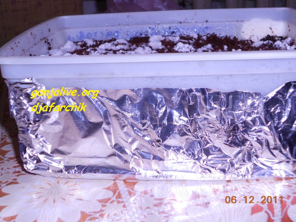 DSCN0460