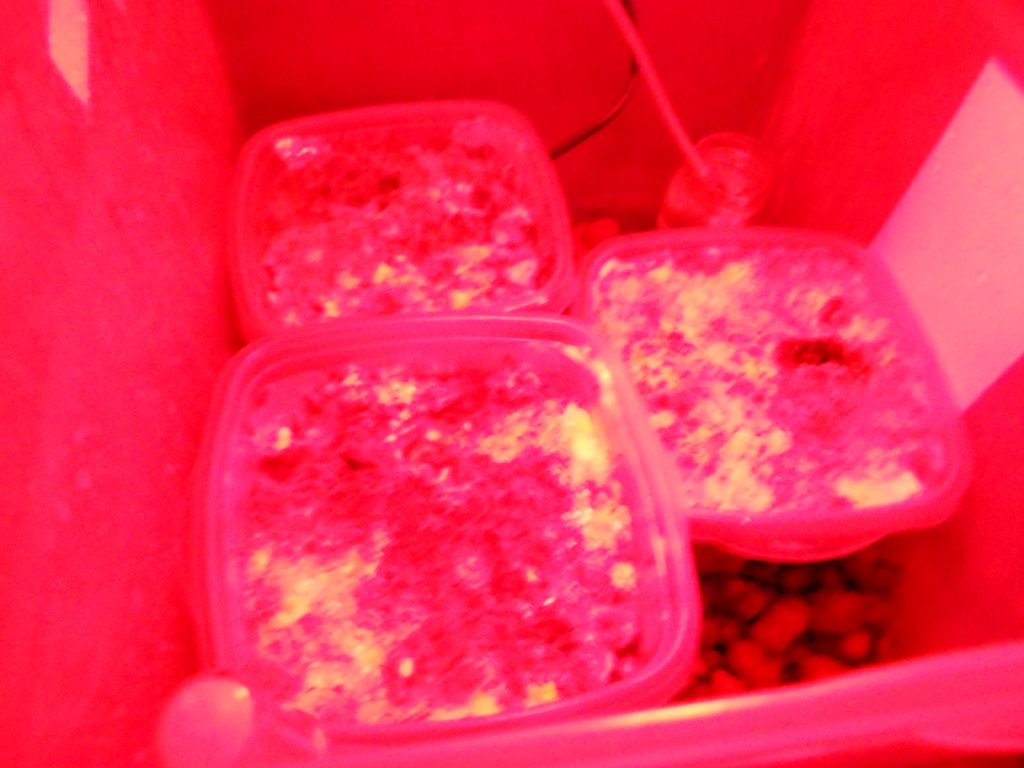 DSCN0707