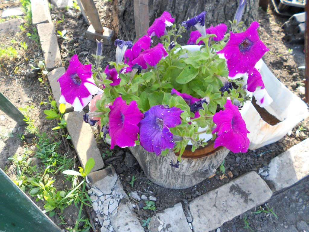 DSCN0877