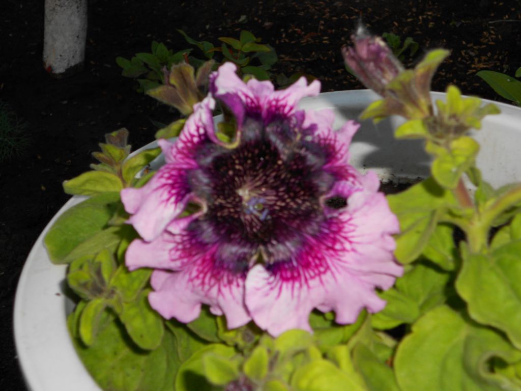 DSCN0902