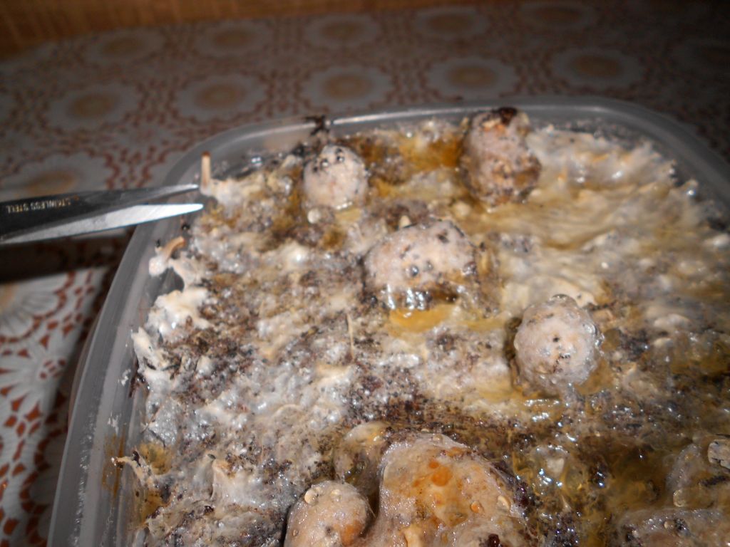 DSCN0920