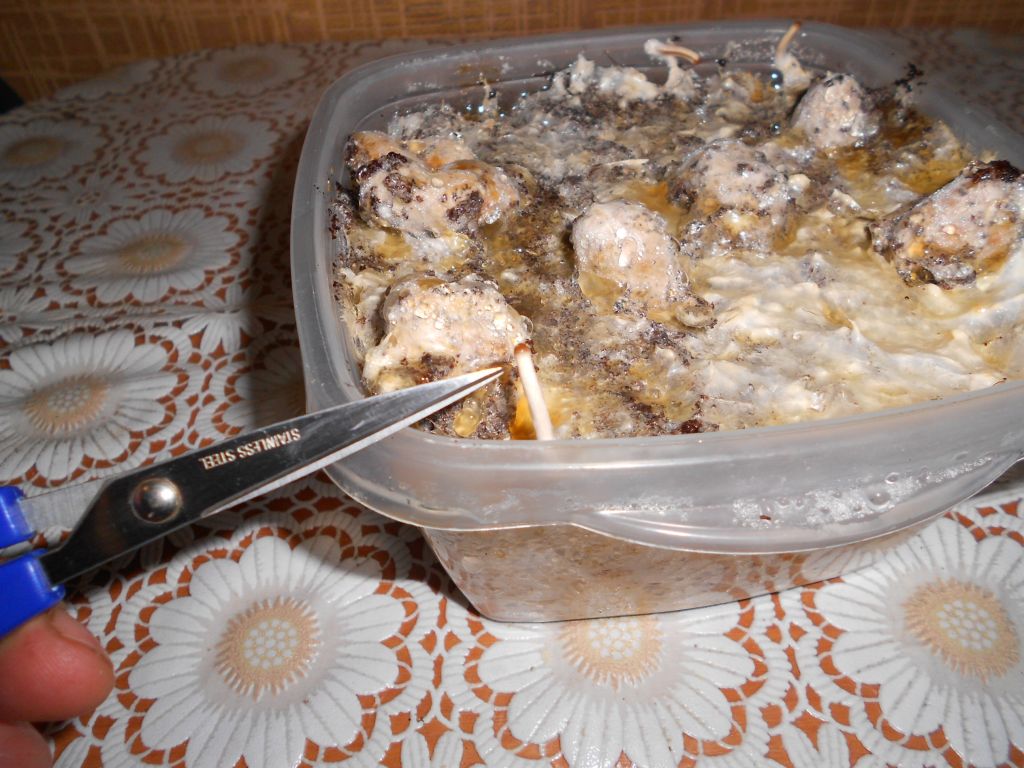 DSCN0921