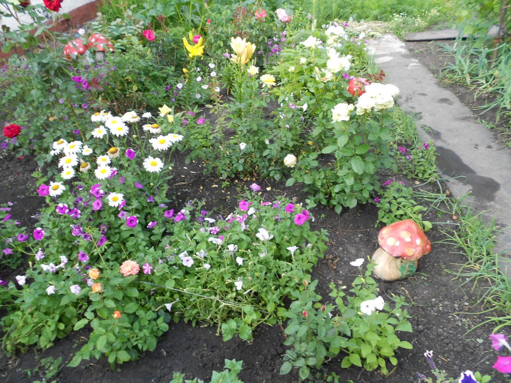DSCN0962