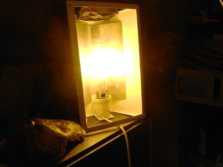 DSCN0976