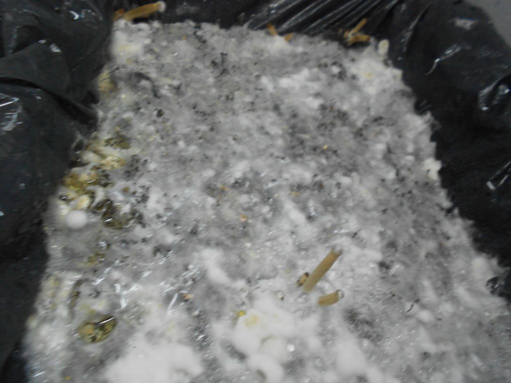 DSCN1106