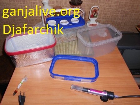 DSCN1301