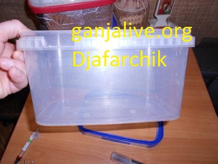 DSCN1304