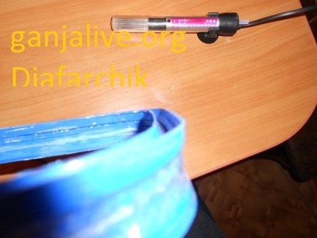DSCN1306