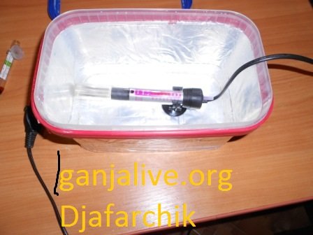 DSCN1307