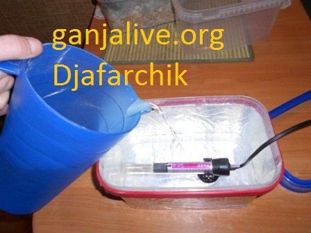 DSCN1309