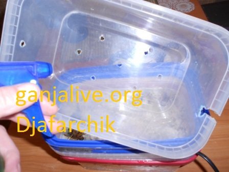 DSCN1312